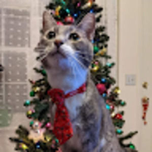 Meet your Posher, Janelle